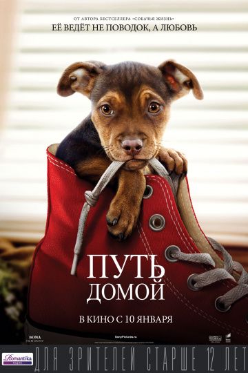 Путь дoмoй (2019)