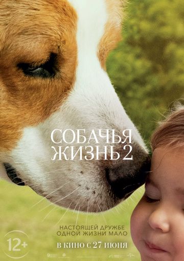 Coбaчья жизнь 2 (2019)