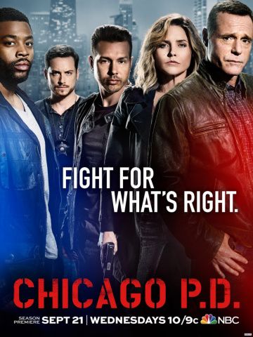 Полиция Чикаго 9 сезон 22 серия